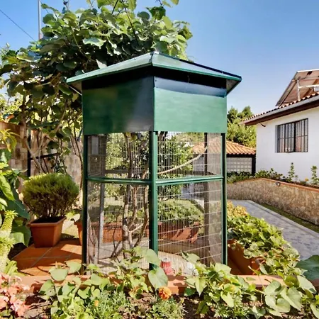 Private Pool 20min By Oporto * Oliveira de Azemeis